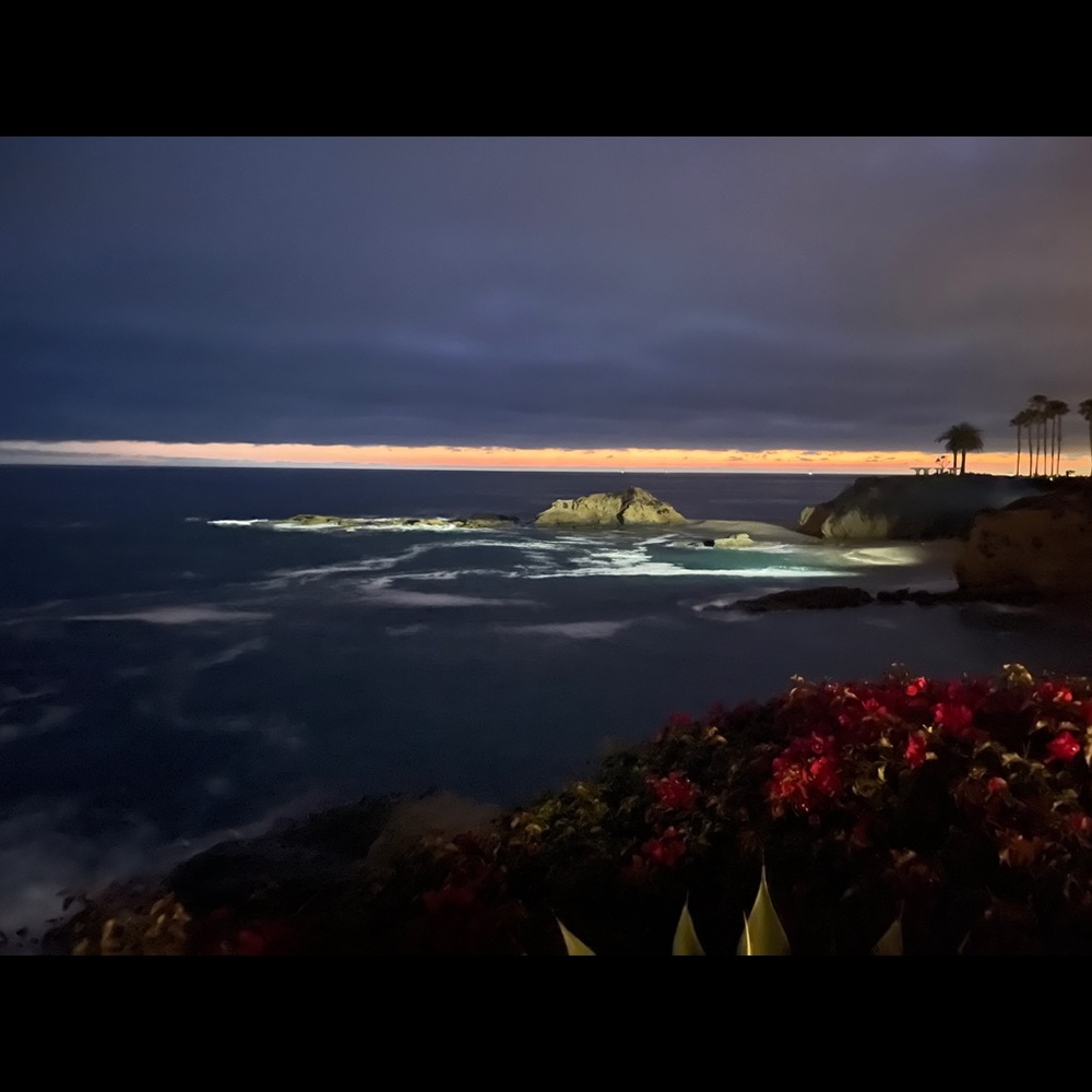 Meet your Posher, Sonia